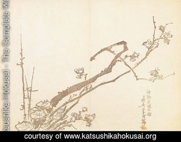 Katsushika Hokusai - Branch of Plum
