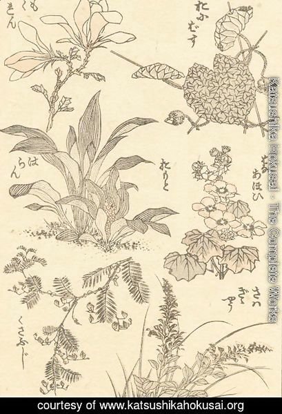 Katsushika Hokusai - Unknown 1175