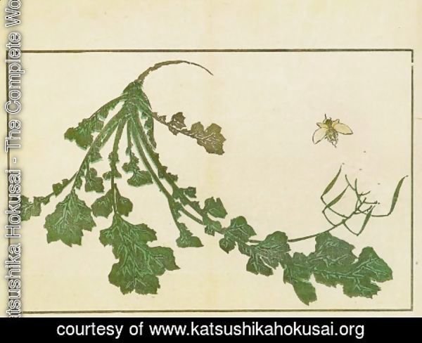 Katsushika Hokusai - Radish and Bee