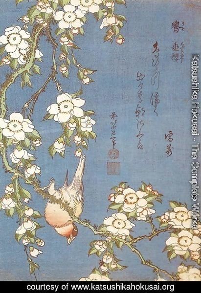 Katsushika Hokusai - Weeping Cherry and Bullfinch