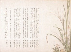 Katsushika Hokusai - Asters and Susuki Grass
