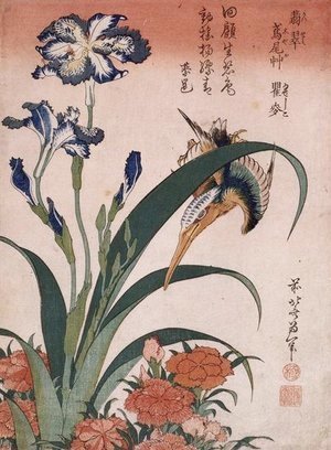 Kingfisher, carnation, iris
