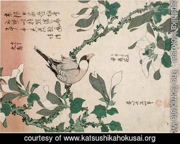 Katsushika Hokusai - Sparrow and magnolia
