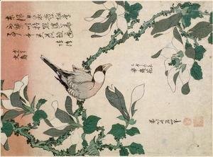 Katsushika Hokusai - Sparrow and magnolia