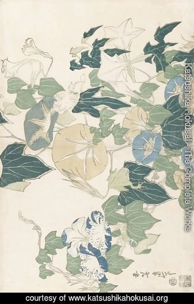 Katsushika Hokusai - Morning Glories in Flowers and Buds