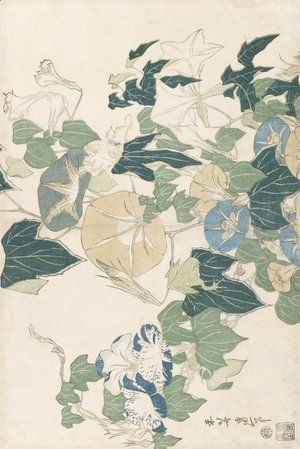 Katsushika Hokusai - Morning Glories in Flowers and Buds