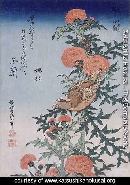 Katsushika Hokusai - Crossbill and Thistle