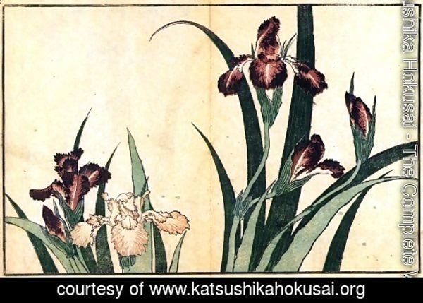 Katsushika Hokusai - Irises 2