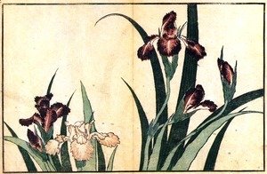 Katsushika Hokusai - Irises 2