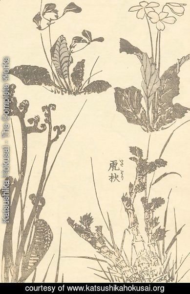 Katsushika Hokusai - Unknown 1015