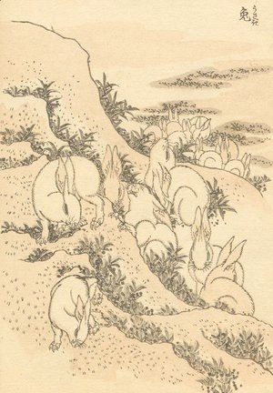 Katsushika Hokusai - Unknown 1016