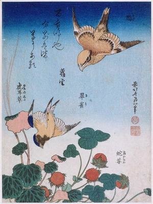 Katsushika Hokusai - Swallow and begonia and strawberry pie