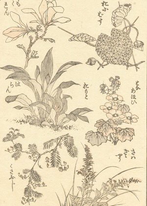 Katsushika Hokusai - Unknown 1175