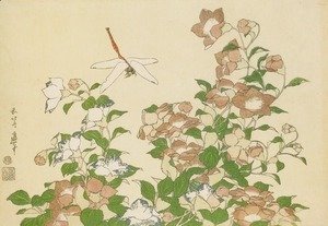 Katsushika Hokusai - Bell-Flower and Dragonfly