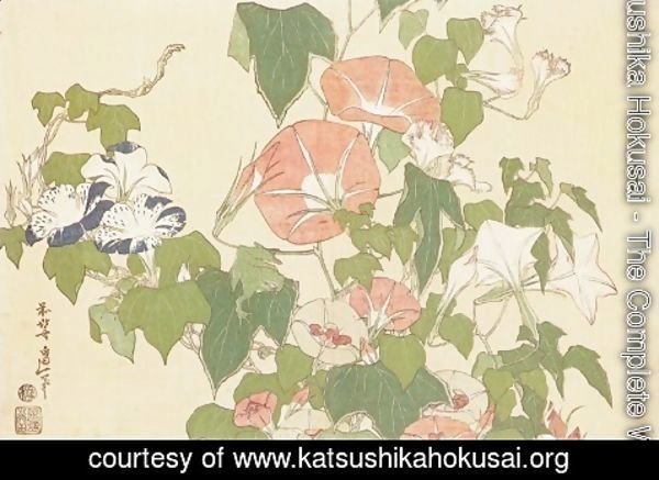 Katsushika Hokusai - Convolvulus and Tree-Frog